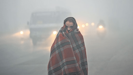 Dense winter fog covering a road in North India with low visibility due to cold and mist conditions.