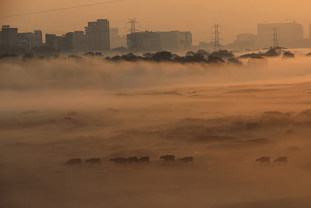 Fog covering the Delhi city skyline on a winter morning with weak sunlight.